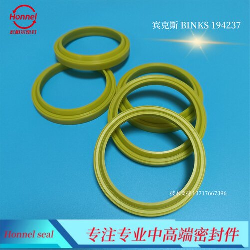宾克斯 BINKS 194237 ER30原装进口柱塞泵阀194239密封件238