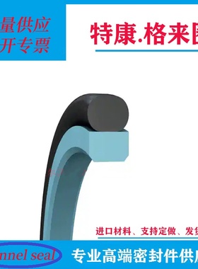 供应特瑞堡T型格莱圈/德国宝色霞板B+S特康格莱圈RT0100500密封30