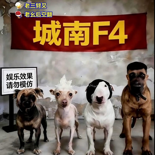 2027超火宠物AI直播宠物狗狗素材制作视频教程文档资料009款F4
