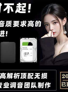 dsd无损音乐硬盘HiRes WAV发烧级母带HiFi高码率音源移动机械固态