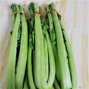 5斤8斤青菜四川宜宾青菜杆芥菜农家自种新鲜蔬菜泡菜原料现砍现发