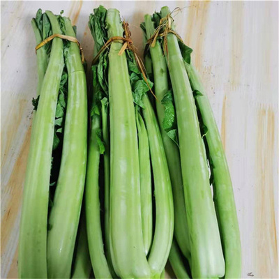 5斤8斤青菜四川宜宾新鲜蔬菜现发