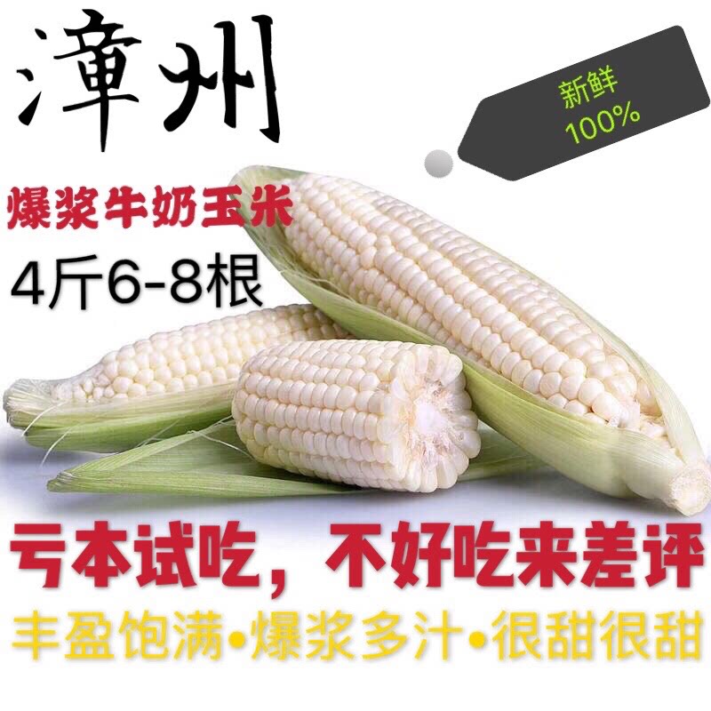 【果园发货】漳州不一样的水果玉玉米