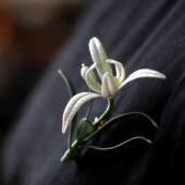 新中式 精致胸花 胸针女国风别针配饰手工缠花玉兰花旗袍茶服时尚