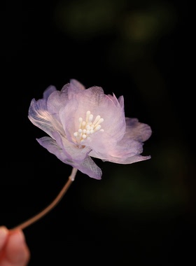 唐风发簪古风女童仙美真丝烫花