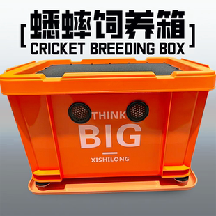 蟋蟀蟑螂杜比亚饲养箱爬宠白蟋蟀养殖盒针头蟋蟀养殖盒油葫芦
