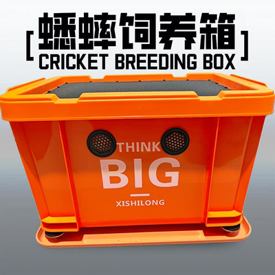 蟋蟀蟑螂杜比亚饲养箱