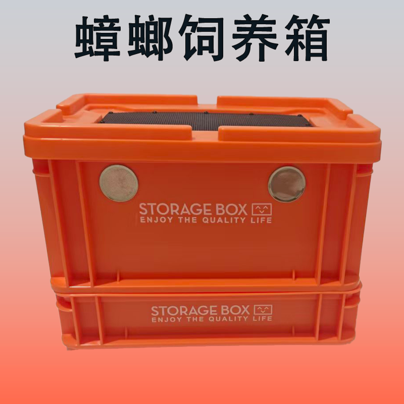 樱桃蟑螂杜比亚养殖盒爬宠携带箱针头蟋蟀饲养箱面包虫大麦虫饲料