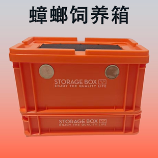 樱桃蟑螂杜比亚养殖盒爬宠携带箱针头蟋蟀饲养箱面包虫大麦虫饲料