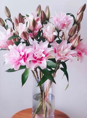 重瓣百合鲜切花多瓣真花水养婚庆家用瓶鲜花速递包邮同城