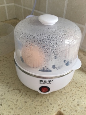 电蒸锅笼蒸蛋器家用迷你煮蛋器小型炖玉米蒸鸡蛋羹机顿烝旦渚蛋疍