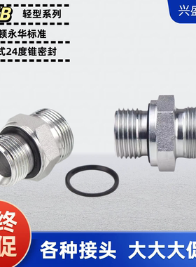 液压对丝ED圈密封英制变公制伊顿标准1CB1DB双头外丝直通变径接头