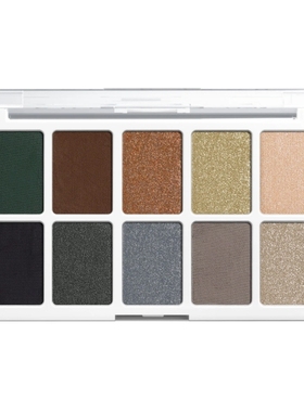 Wet N Wild WNW Color Icon湿又野欧美百搭十色10色眼影盘12g