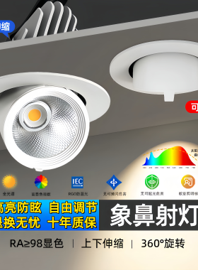 COB象鼻灯led洗墙射灯嵌入式天花灯家用专用角度服装筒灯店铺商用