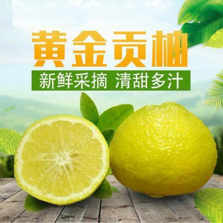 湖南黄金贡柚 9斤清甜多汁当季水果柚子柑子橘子橙子新鲜水果包邮