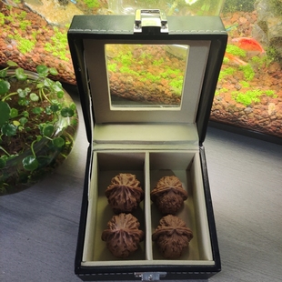 文玩核桃一物一图组合礼盒,南疆石白狮子苹果园磨盘宫灯三棱元宝