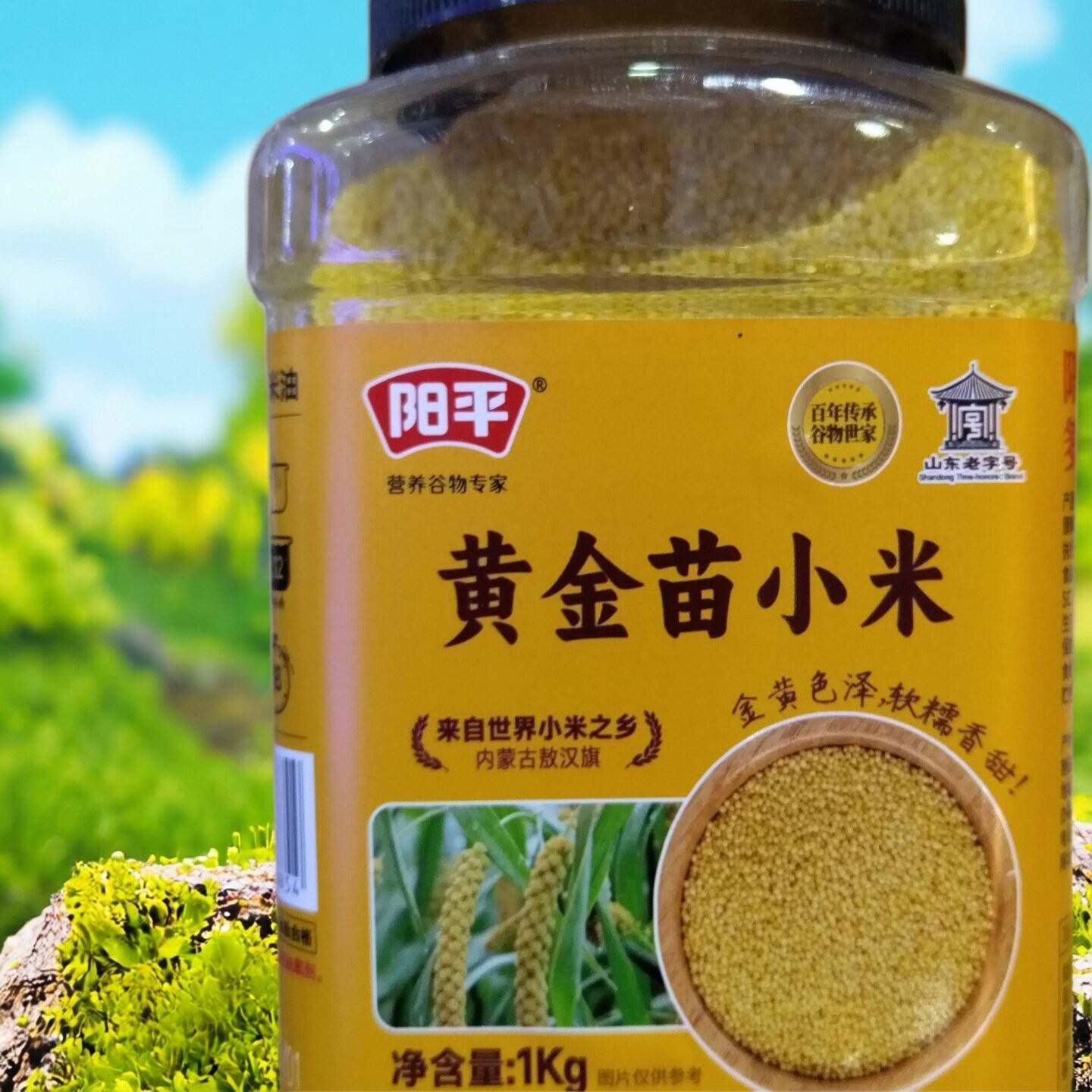 临期特卖特价山东阳平八宝粥