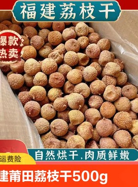 福建莆田荔枝干500g/袋大果新货非桂味糯米滋小核肉厚干货特产