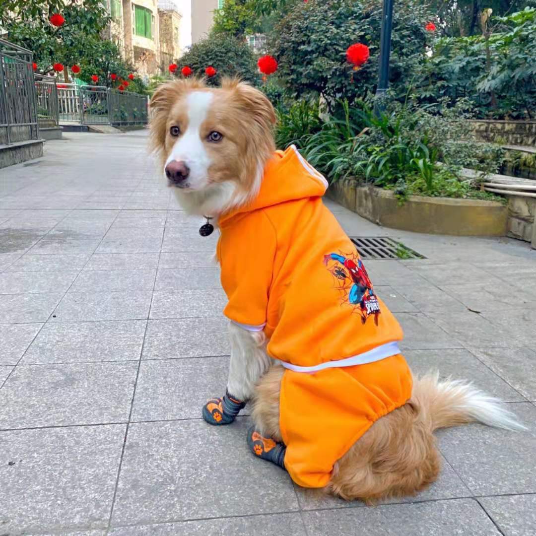 狗狗中大型犬冬款超人金毛德牧