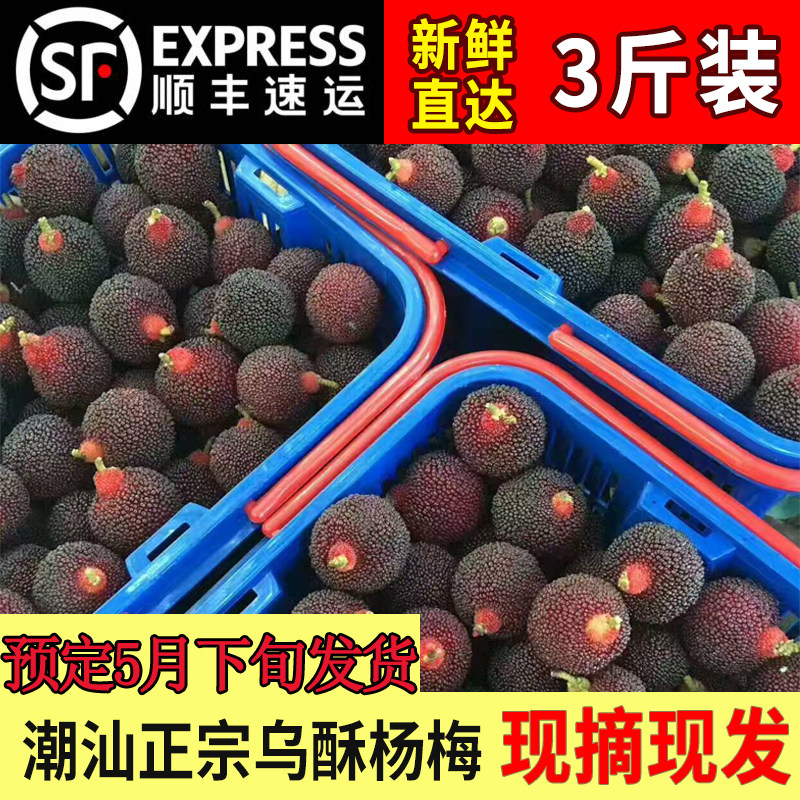 顺丰3斤装现摘发货潮汕潮阳西胪杨梅孕妇水果新鲜乌苏乌酥杨梅