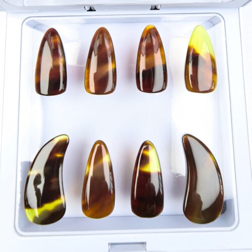 随机颜色海鲜古筝指甲专业定制甲