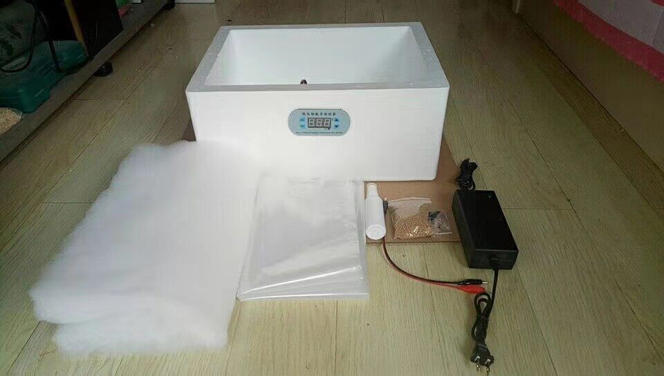 小志家庭版水床孵化器20-100枚