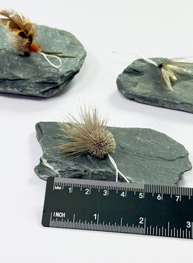 猫玩具仿真昆虫逗猫棒替换头猫咪丰容玩具鹿毛迷你小飞虫自嗨解闷