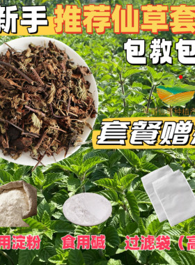 正宗高胶仙草干草果草龟苓膏烧仙草纯叶黑凉粉草粿草凉粉草仙草干