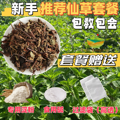 仙草干黑凉粉草粿草仙草冻正宗仙人草粉龟苓膏烧仙草新鲜草干
