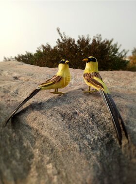 仿真客厅摄影道具装饰品