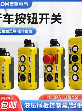 厂家直销奥盟电气防雨行车