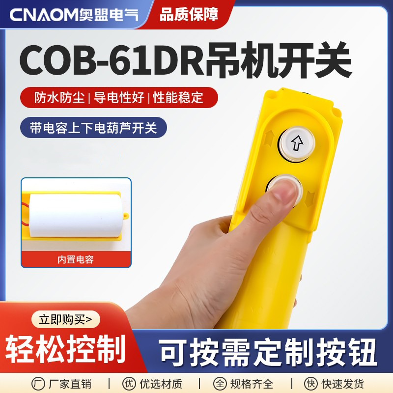 cob-61r30uf带电容开关