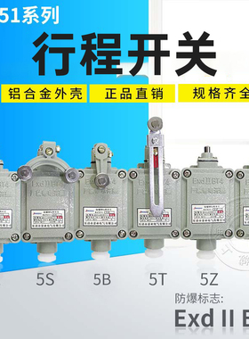 行程开关BZX51-5D 5L 5Z 5N 5S滚轮单臂式5T限位开关柱塞式触头
