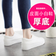 2025春夏新款 街拍平底百搭潮女 松糕板鞋 皮面帆布鞋 女厚底小白鞋