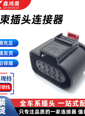 1563498-1 大众10孔接插件连接器1563498-1线束插头护套