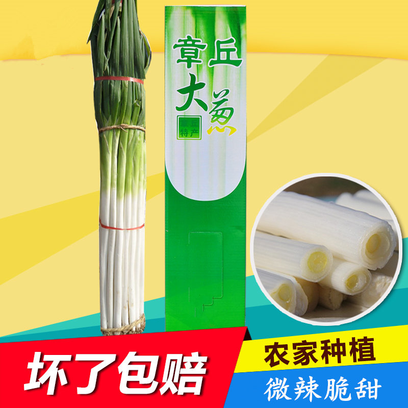 山东特产正宗章丘葱高长脆甜