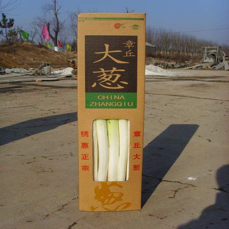 章丘特产  正宗章丘大葱 新鲜其它