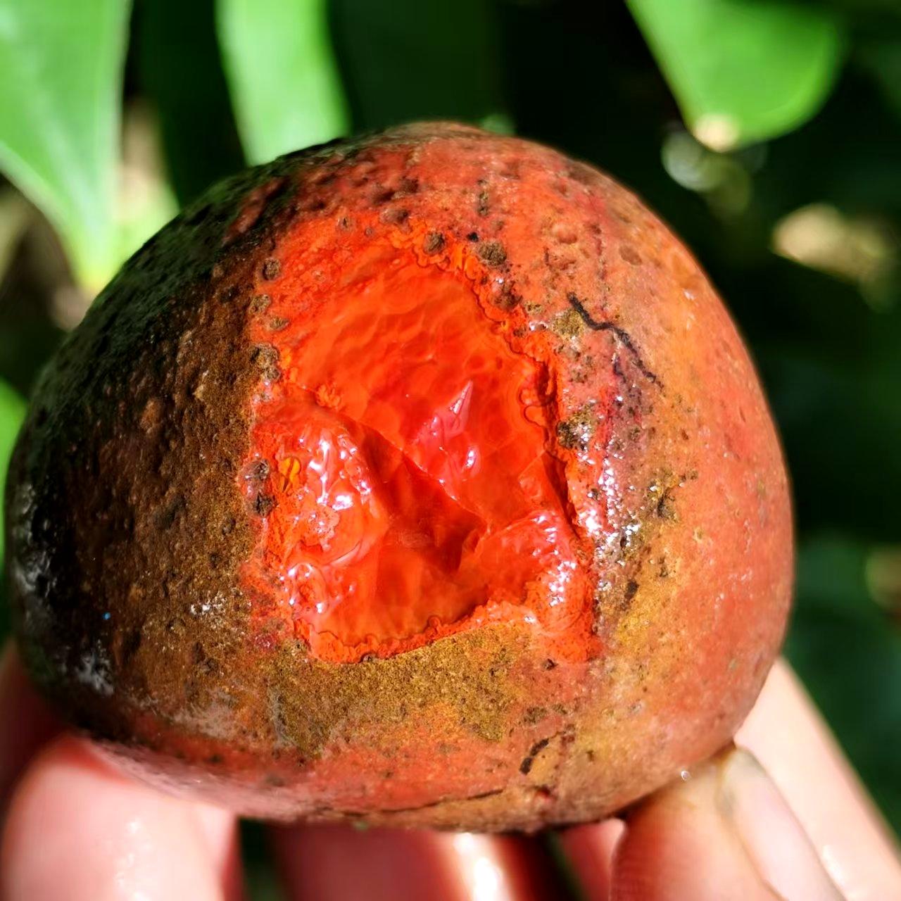 红似南红战国红玛瑙宣化开口明料