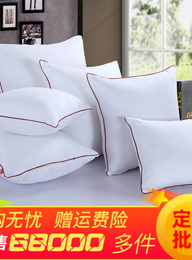 抱枕芯内胆沙发枕芯家用靠垫芯45x45抱枕心50x50靠背内芯40靠枕芯