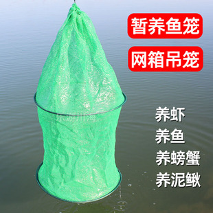 渔网箱暂养活鱼护折叠圆形网箱龙虾螃蟹暂养吊笼网箱鱼护加厚虾笼