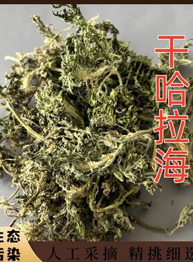 野生干哈拉海内蒙特产