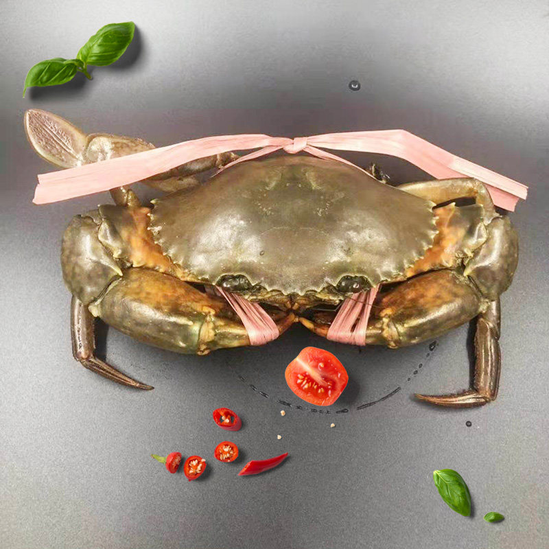 缅甸螃蟹公蟹孟加拉肉蟹鲜活野生大青蟹香辣蟹迷踪蟹5两青蟹1斤装