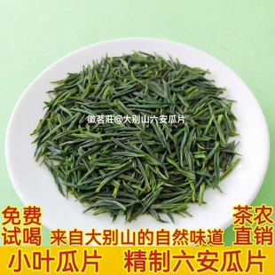 试喝装 2025新茶谷雨前采摘春茶XY1 精制六安瓜片伴手礼 小叶瓜片