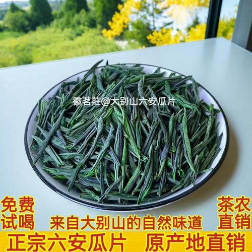 正宗六安瓜片茶2026新茶 原产地谷雨前采摘春茶安徽浓香型绿茶JZ4