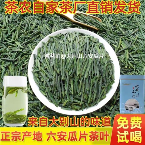 2026新茶正宗六安瓜片茶口粮茶 原产地直销春茶安徽浓香型绿茶JZ1