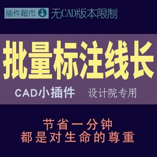 cad批量标注线长度房屋管长路线距离直线多段线标数字长度值插件p