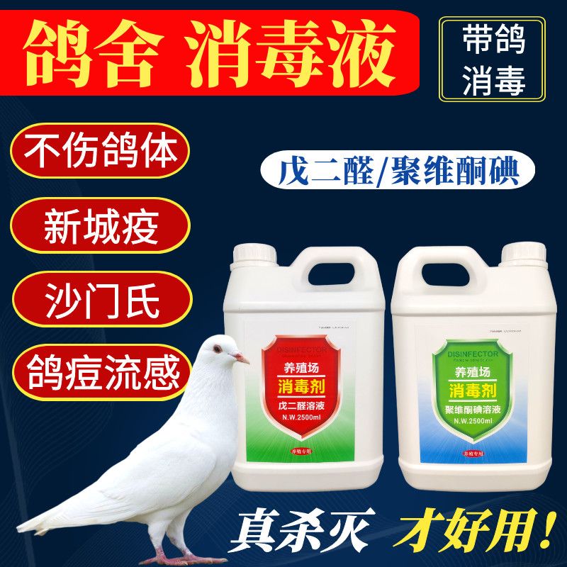 鸽舍消毒液鹦鹉鸽子棚养殖场专用