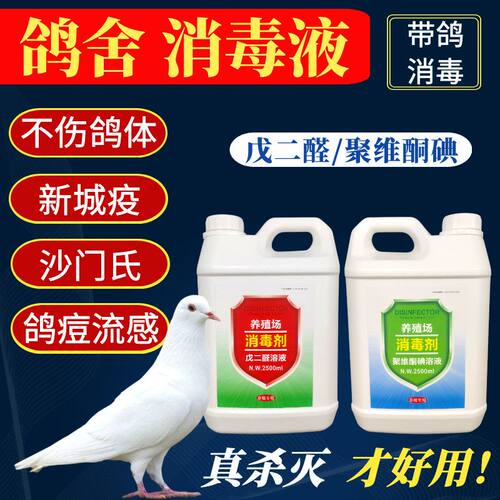 鸽舍消毒液鹦鹉鸽子棚养殖场专用