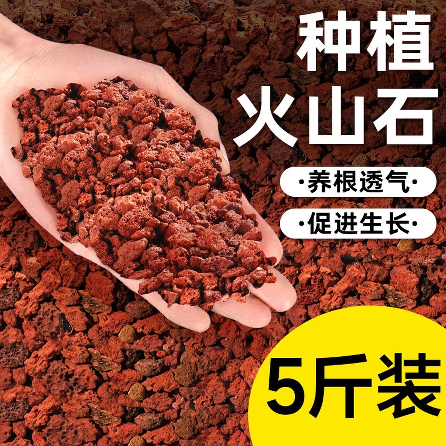 火山石颗粒养兰花蝴蝶兰多肉专用营养土透气防烂根园艺鱼缸底铺面