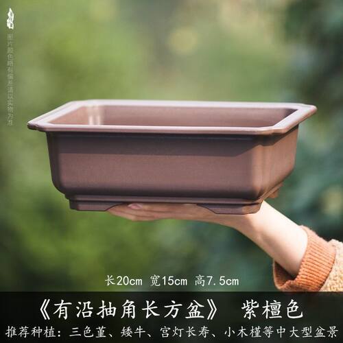 长方形盆景专用花盆老庄树脂家用仿紫砂陶瓷多肉塑料盆栽肉肉花盘
